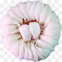 高清白色花瓣装饰-空若网 高清白色花瓣装饰-空若网