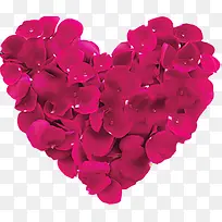 ����õ�廨�갮��װ��-������