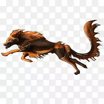 Ȯʳ����-�๷-������