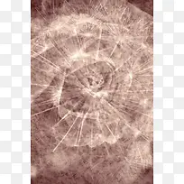 õ�廨��������-������