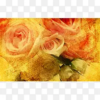 粉色玫瑰背景-空若网 粉色玫瑰背景-空若网