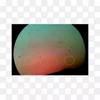 ���Ա�ֽ-���ֶ���ͼƬ-������