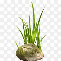 ʯͷ С��-������