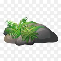 石头小草-空若网 石头小草-空若网