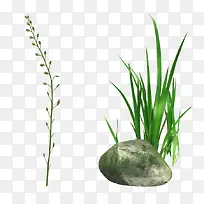 绿色小草石头装饰图案-空若网 绿色小草石头装饰图案-空若网