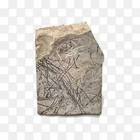 ������ʯ-������