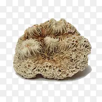 ɺ����ʯ-������