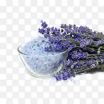 ����ز�֮޹�²�ɳ-������