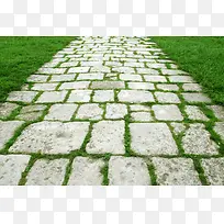 草地石头背景-空若网 草地石头背景-空若网