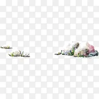 手绘彩色石头小草-空若网 手绘彩色石头小草-空若网