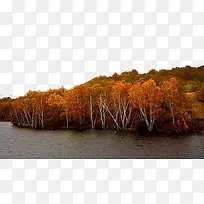 ���Ƶ�����ˮ-������