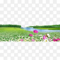 »¨-¿ÕÈôÍø »¨-¿ÕÈôÍø