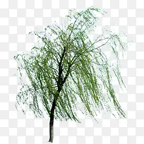 �����������ϴ���-������