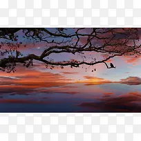 树枝凋零云朵湖面-空若网 树枝凋零云朵湖面-空若网