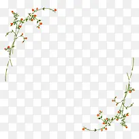 植物边框-空若网 植物边框-空若网