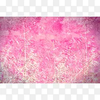 植物花纹背景边框-空若网 植物花纹背景边框-空若网