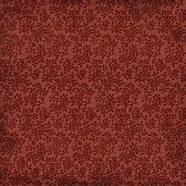 ֲ�ﻨ�Ʊ���-������