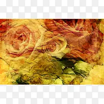 ���Ż��ܱ���ͼ��-������