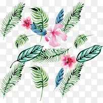 水彩植物花纹-空若网 水彩植物花纹-空若网