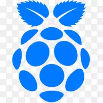 raspberry pi�����ͼ��raspbian��װ-raspberry-������