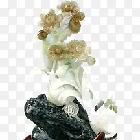 ��֦-������