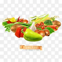 蔬菜-空若网 蔬菜-空若网