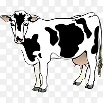 卡通动物 卡通-空若网 卡通动物 卡通-空若网