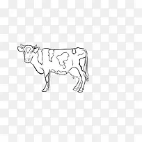 �ֻ���ţ-������