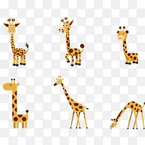 �ɰ��ĳ���¹-������