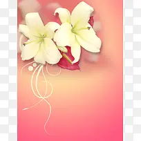 �����ʻ�����-������