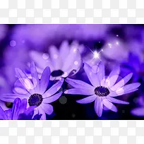 Ãλñ³¾°-¿ÕÈôÍø Ãλñ³¾°-¿ÕÈôÍø