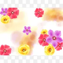 �λû��Ʊ���-������