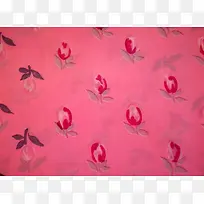 ����С������-������