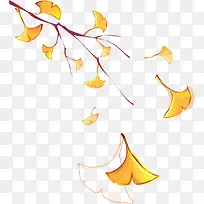 手绘黄色落叶-空若网 手绘黄色落叶-空若网