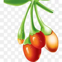 手绘枸杞-空若网 手绘枸杞-空若网