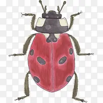 �ֻ�����-������