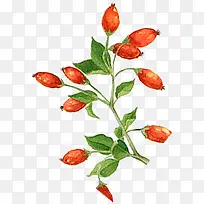 �ֻ����-������