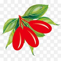 彩色手绘枸杞-空若网 彩色手绘枸杞-空若网