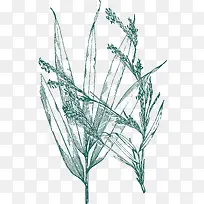 手绘草线稿-空若网 手绘草线稿-空若网