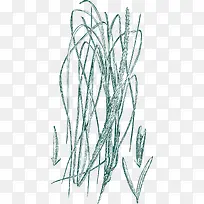 手绘草线稿-空若网 手绘草线稿-空若网