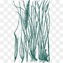 手绘草线稿-空若网 手绘草线稿-空若网