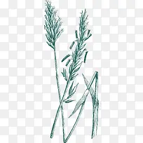 手绘草线稿-空若网 手绘草线稿-空若网