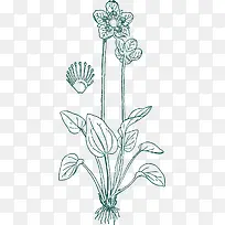 ÊÖ»æ²ÝÏ߸å-¿ÕÈôÍø ÊÖ»æ²ÝÏ߸å-¿ÕÈôÍø