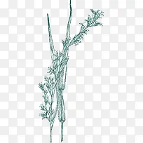 手绘草线稿-空若网 手绘草线稿-空若网