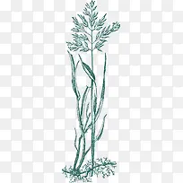 手绘草线稿-空若网 手绘草线稿-空若网