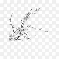 �ֻ滨��-������