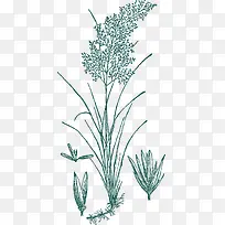 手绘草线稿-空若网 手绘草线稿-空若网