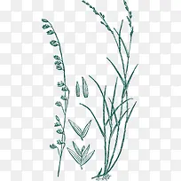 �ֻ���߸�-������