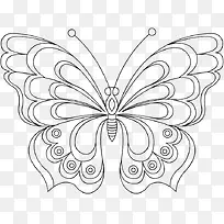 美丽的蝴蝶准备飞翔-空若网 美丽的蝴蝶准备飞翔-空若网