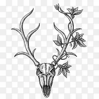 动物骨头角线稿图-空若网 动物骨头角线稿图-空若网